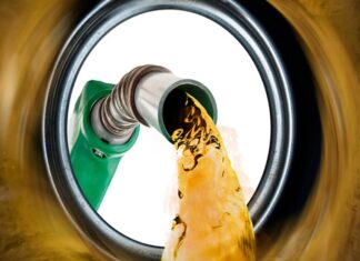 Estrategia marítima china prioriza estabilidad económica por sobre sostenibilidad inmediata