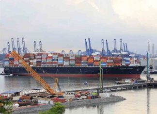Mayor flujo marítimo dinamiza ingresos del Canal de Panamá