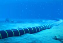 Ciberataque global: Google revela operación de espionaje chino con impacto en Chile