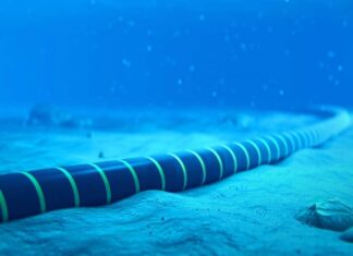 Ciberataque global: Google revela operación de espionaje chino con impacto en Chile