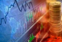 Volver a la tierra: la clave para reactivar el potencial económico regional