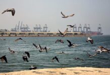 Ormuz pierde exclusividad: países del Golfo expanden rutas estratégicas para el comercio de crudo