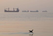 Irán y la diplomacia enfrían el mercado petrolero tras los máximos alcanzados por la guerra