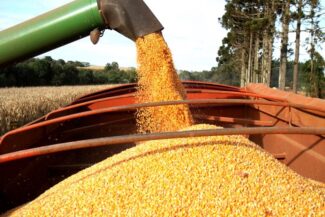 El Niño amenaza con profundizar la inseguridad alimentaria regional
