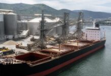 América Latina gana protagonismo en la estrategia de Japón para blindar sus cadenas de suministro